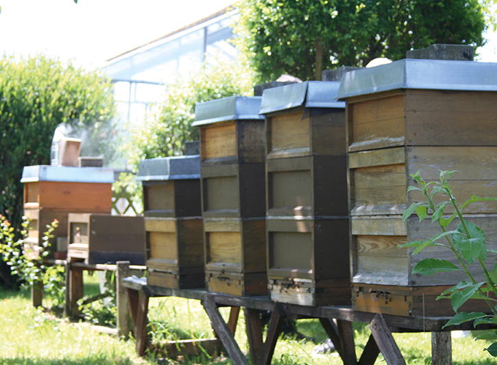 Imkerei Lehrbienenstand