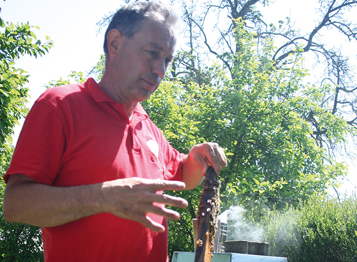 Imkerei Lehrbienenstand